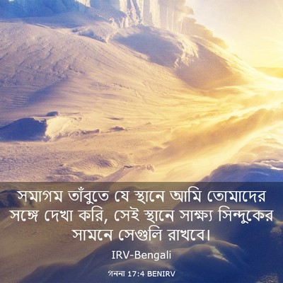 Picture 03 - গননা 17:4 BENIRV - সমাগম তাঁবুতে যে - Bible Verse Picture