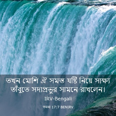 Picture 03 - গননা 17:7 BENIRV - তখন মোশি ঐ সমস্ত - Bible Verse Picture