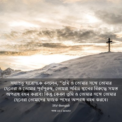 Picture 03 - গননা 18:1 BENIRV - সদাপ্রভু হারোণকে - Bible Verse Picture