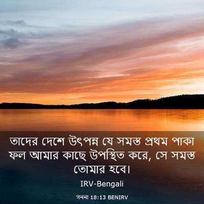 Picture 03 - গননা 18:13 BENIRV - তাদের দেশে উৎপন্ন - Bible Verse Picture