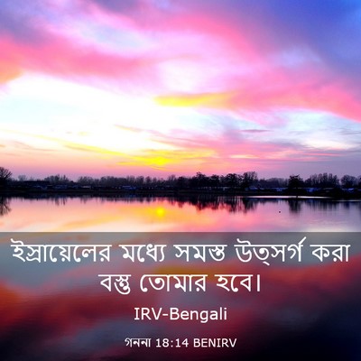 Picture 03 - গননা 18:14 BENIRV - ইস্রায়েলের মধ্যে - Bible Verse Picture