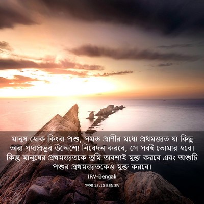 Picture 03 - গননা 18:15 BENIRV - মানুষ হোক কিংবা - Bible Verse Picture