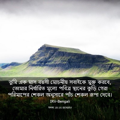 Picture 03 - গননা 18:16 BENIRV - তুমি এক মাস বয়সী - Bible Verse Picture