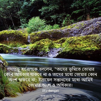 Picture 03 - গননা 18:20 BENIRV - সদাপ্রভু হারোণকে - Bible Verse Picture