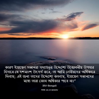 Picture 03 - গননা 18:24 BENIRV - কারণ ইস্রায়েল - Bible Verse Picture