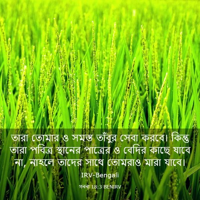 Picture 03 - গননা 18:3 BENIRV - তারা তোমার ও সমস্ত - Bible Verse Picture