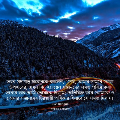 Picture 03 - গননা 18:8 BENIRV - তখন সদাপ্রভু - Bible Verse Picture