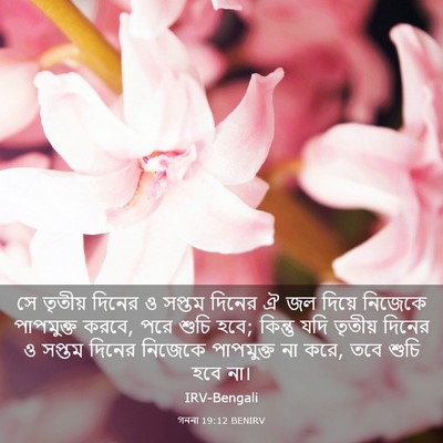 Picture 03 - গননা 19:12 BENIRV - সে তৃতীয় দিনের ও - Bible Verse Picture