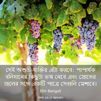 Picture 03 - গননা 19:17 BENIRV - সেই অশুচি - Bible Verse Picture