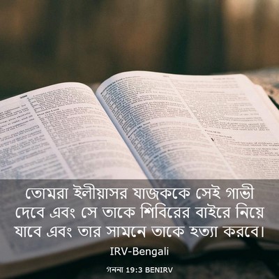 Picture 03 - গননা 19:3 BENIRV - তোমরা ইলীয়াসর - Bible Verse Picture
