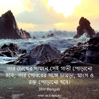 Picture 03 - গননা 19:5 BENIRV - তার চোখের সামনে - Bible Verse Picture