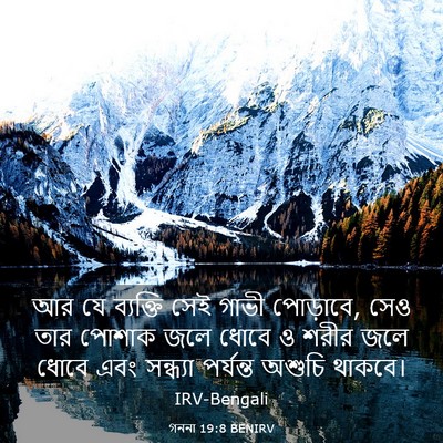 Picture 03 - গননা 19:8 BENIRV - আর যে ব্যক্তি সেই - Bible Verse Picture