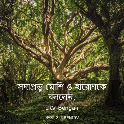 Picture 03 - গননা 2:1 BENIRV - সদাপ্রভু মোশি ও - Bible Verse Picture