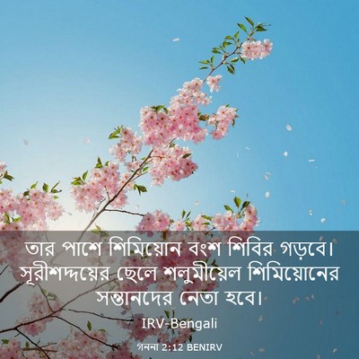 Picture 03 - গননা 2:12 BENIRV - তার পাশে শিমিয়োন - Bible Verse Picture