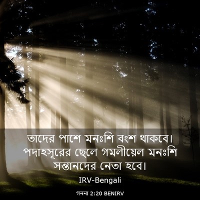 Picture 03 - গননা 2:20 BENIRV - তাদের পাশে মনঃশি - Bible Verse Picture