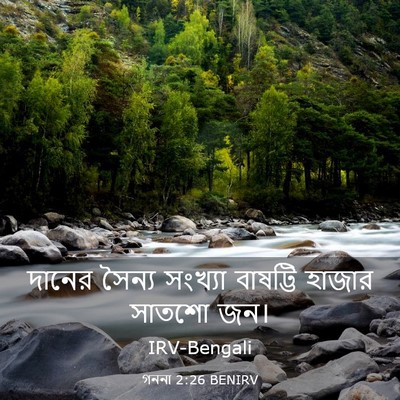 Picture 03 - গননা 2:26 BENIRV - দানের সৈন্য - Bible Verse Picture