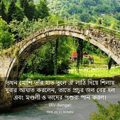 Picture 03 - গননা 20:11 BENIRV - তখন মোশি তাঁর হাত - Bible Verse Picture