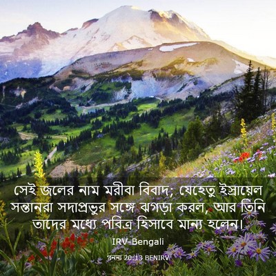 Picture 03 - গননা 20:13 BENIRV - সেই জলের নাম মরীবা - Bible Verse Picture