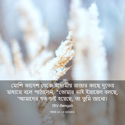 Picture 03 - গননা 20:14 BENIRV - মোশি কাদেশ থেকে - Bible Verse Picture