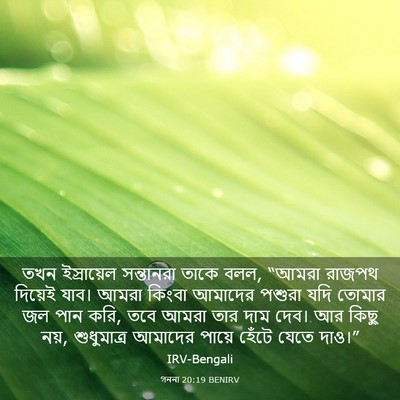 Picture 03 - গননা 20:19 BENIRV - তখন ইস্রায়েল - Bible Verse Picture