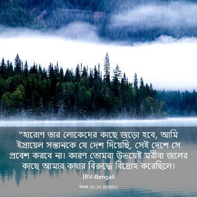 Picture 03 - গননা 20:24 BENIRV - “হারোণ তার - Bible Verse Picture