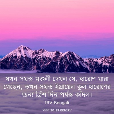 Picture 03 - গননা 20:29 BENIRV - যখন সমস্ত মণ্ডলী - Bible Verse Picture