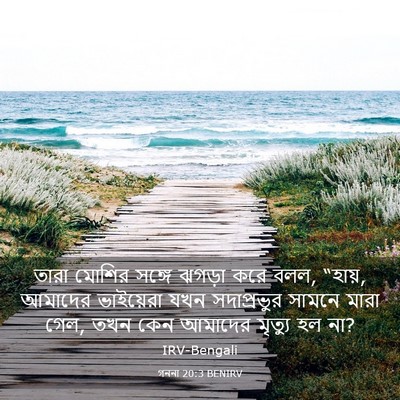 Picture 03 - গননা 20:3 BENIRV - তারা মোশির সঙ্গে - Bible Verse Picture