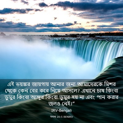 Picture 03 - গননা 20:5 BENIRV - এই ভয়ঙ্কর - Bible Verse Picture