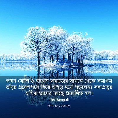 Picture 03 - গননা 20:6 BENIRV - তখন মোশি ও হারোণ - Bible Verse Picture