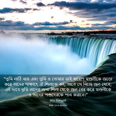 Picture 03 - গননা 20:8 BENIRV - “তুমি লাঠি নাও এবং - Bible Verse Picture