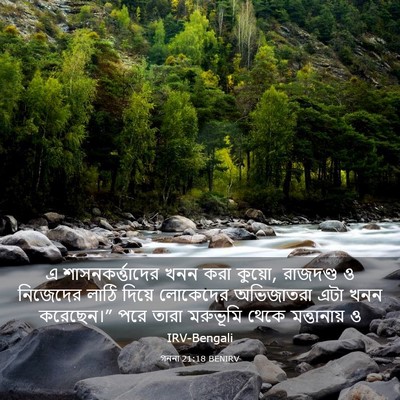 Picture 03 - গননা 21:18 BENIRV - এ শাসনকর্ত্তাদের - Bible Verse Picture
