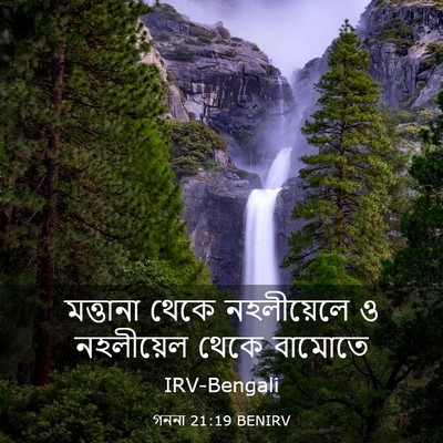 Picture 03 - গননা 21:19 BENIRV - মত্তানা থেকে - Bible Verse Picture