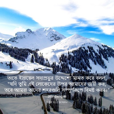 Picture 03 - গননা 21:2 BENIRV - তাতে ইস্রায়েল - Bible Verse Picture