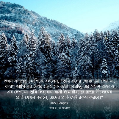 Picture 03 - গননা 21:34 BENIRV - তখন সদাপ্রভু - Bible Verse Picture