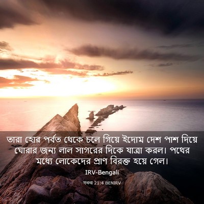 Picture 03 - গননা 21:4 BENIRV - তারা হোর পর্বত - Bible Verse Picture