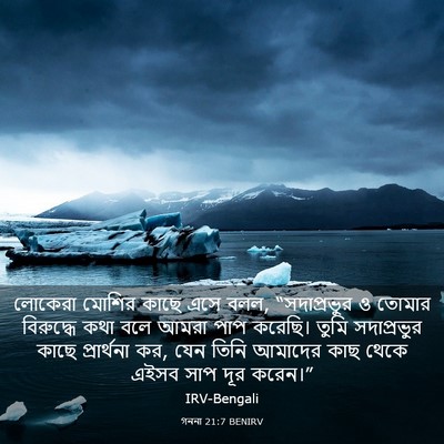Picture 03 - গননা 21:7 BENIRV - লোকেরা মোশির কাছে - Bible Verse Picture