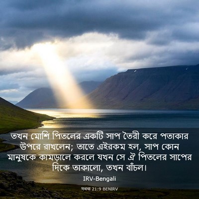 Picture 03 - গননা 21:9 BENIRV - তখন মোশি পিতলের - Bible Verse Picture