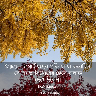 Picture 03 - গননা 22:2 BENIRV - ইস্রায়েল - Bible Verse Picture
