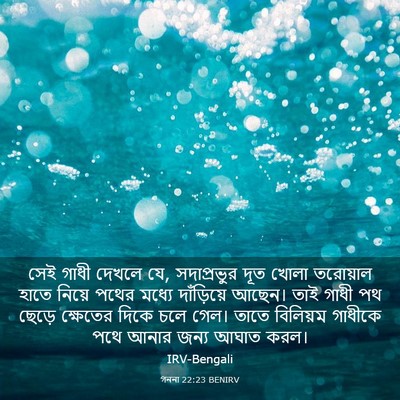 Picture 03 - গননা 22:23 BENIRV - সেই গাধী দেখলে যে, - Bible Verse Picture