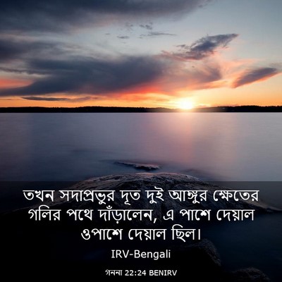 Picture 03 - গননা 22:24 BENIRV - তখন সদাপ্রভুর দূত - Bible Verse Picture