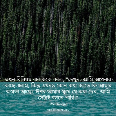 Picture 03 - গননা 22:38 BENIRV - তখন বিলিয়ম - Bible Verse Picture