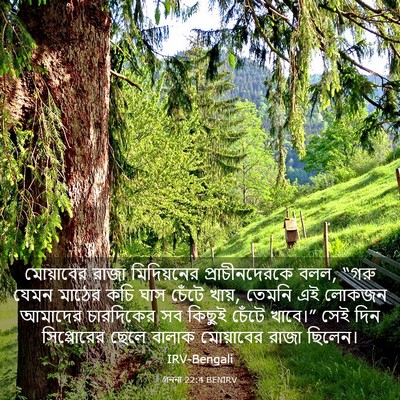 Picture 03 - গননা 22:4 BENIRV - মোয়াবের রাজা - Bible Verse Picture