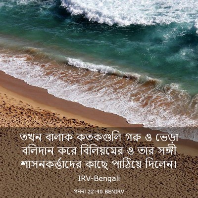 Picture 03 - গননা 22:40 BENIRV - তখন বালাক কতকগুলি - Bible Verse Picture