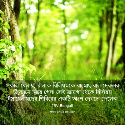 Picture 03 - গননা 22:41 BENIRV - সকাল বেলায়, বালাক - Bible Verse Picture