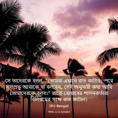 Picture 03 - গননা 22:8 BENIRV - সে তাদেরকে বলল, - Bible Verse Picture