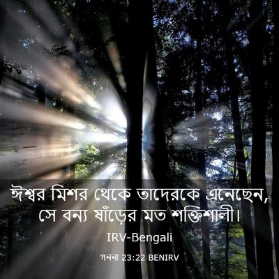 Picture 03 - গননা 23:22 BENIRV - ঈশ্বর মিশর থেকে - Bible Verse Picture