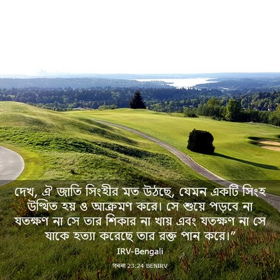 Picture 03 - গননা 23:24 BENIRV - দেখ, ঐ জাতি সিংহীর - Bible Verse Picture