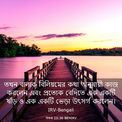 Picture 03 - গননা 23:30 BENIRV - তখন বালাক - Bible Verse Picture