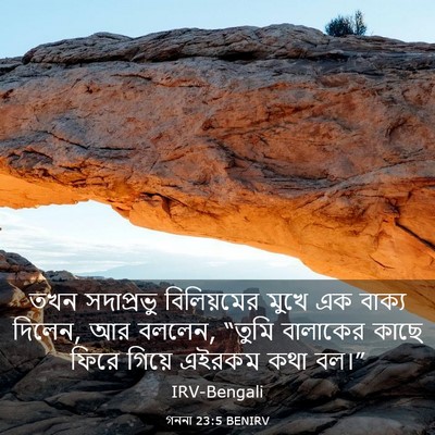 Picture 03 - গননা 23:5 BENIRV - তখন সদাপ্রভু - Bible Verse Picture