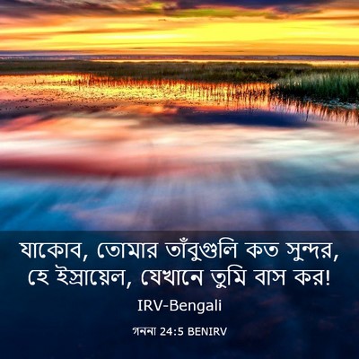 Picture 03 - গননা 24:5 BENIRV - যাকোব, তোমার - Bible Verse Picture